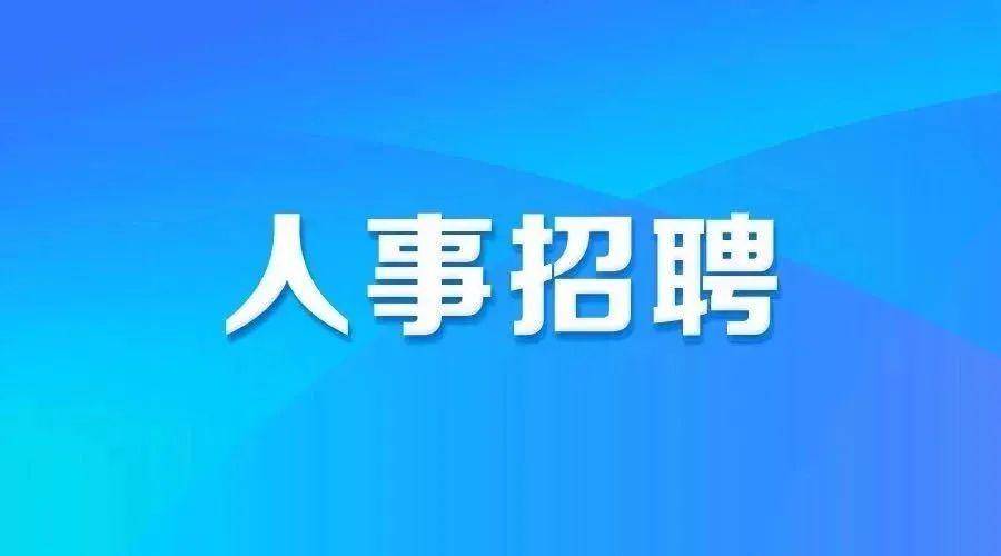 智通招聘网最新招聘,智通招聘网最新招聘，城市中的求职奇遇与友情温暖