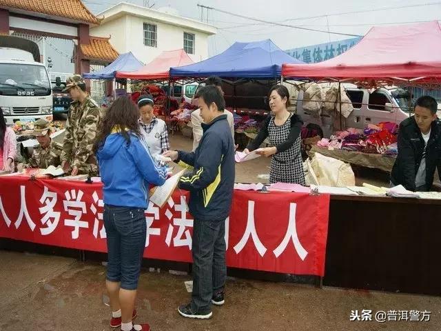 松脂价格行情探秘，小巷深处的松香秘境