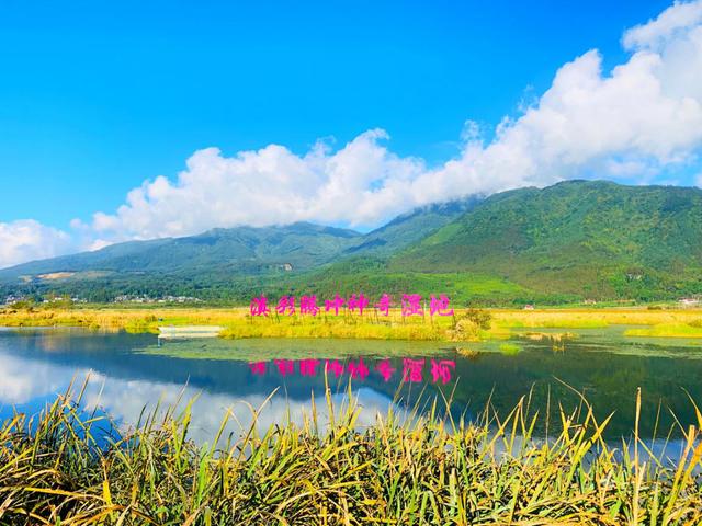 鹿邑疫情动态,鹿邑疫情动态，大自然中的微笑与平静之旅