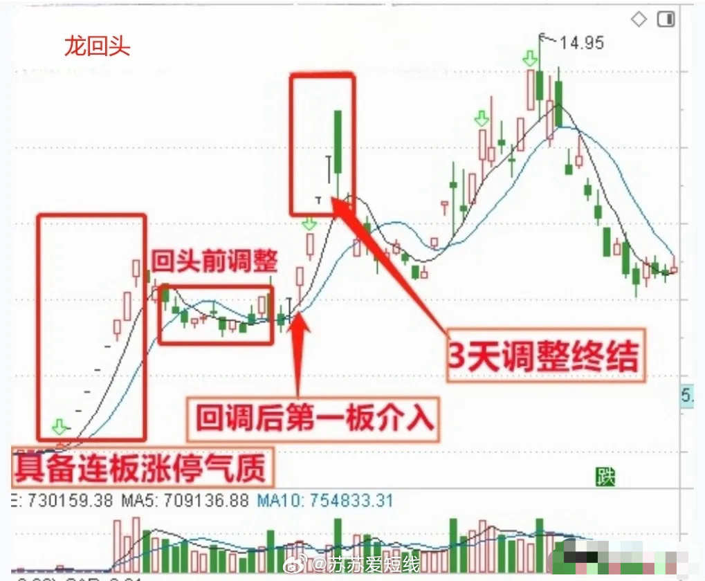 股票龙头战法，探寻内心平静的股市探索之旅