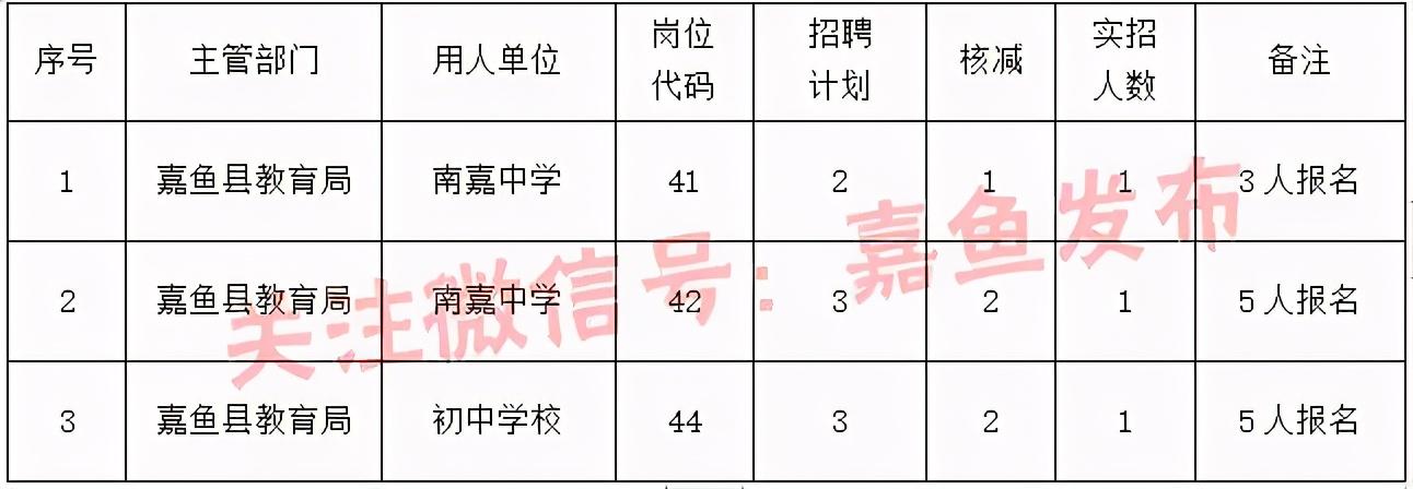 湖北嘉鱼最新招聘信息一览，获取指南与职位更新速递