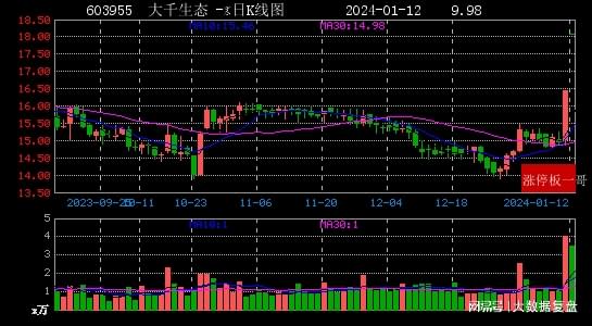 太阳能股票深度解析与观点阐述，千股千评汇总报告