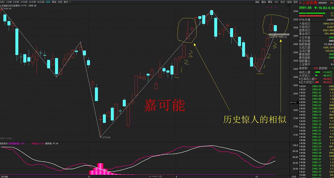 万马股市行情，股市中的温情故事概览