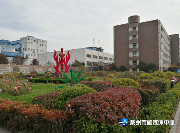 马泰豪煤矿最新动态，矿井变化中的潜能与自信激发之路