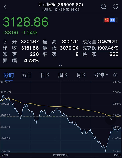 期指恢复交易最新动态，市场脉搏与时代希望的新起点