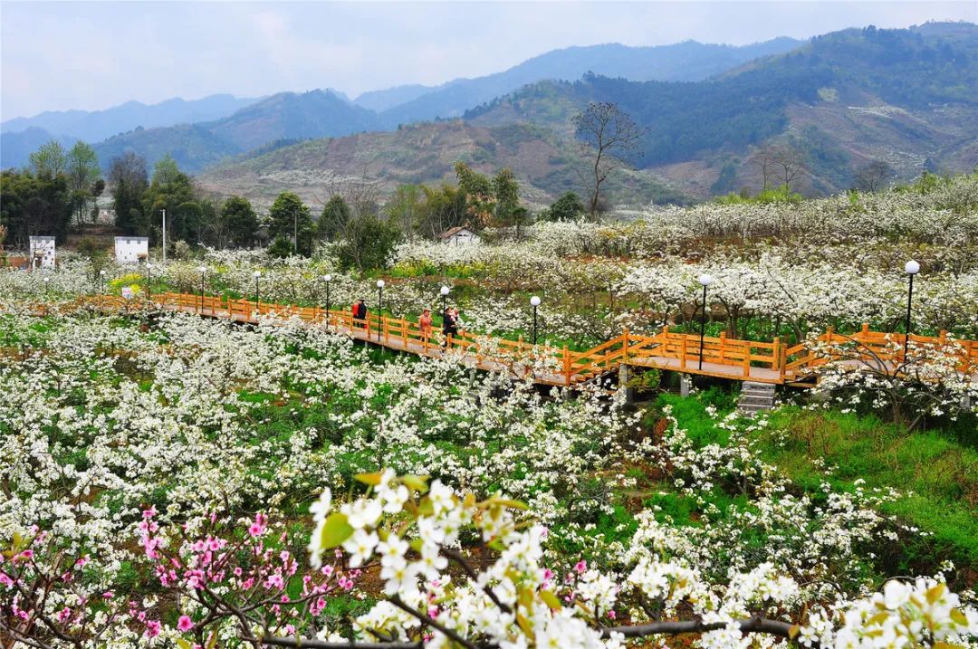 菏泽市领导调整