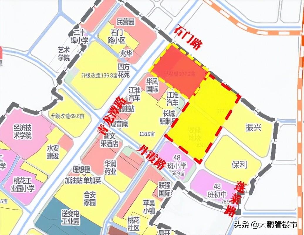 伟星和院最新房价揭秘，房价信息与深度解读✨