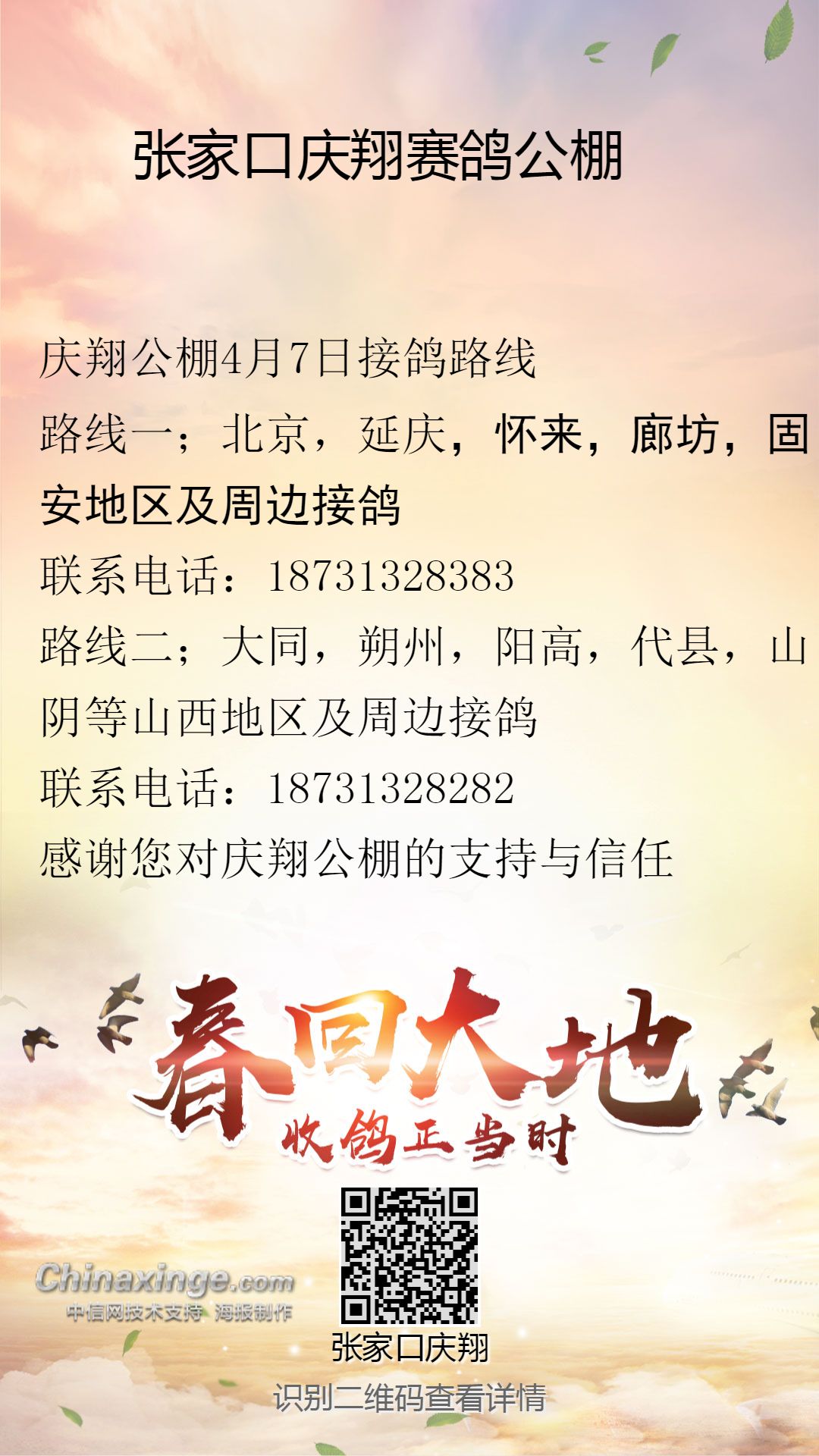 瑞茂公棚最新公告发布，最新动态与通知
