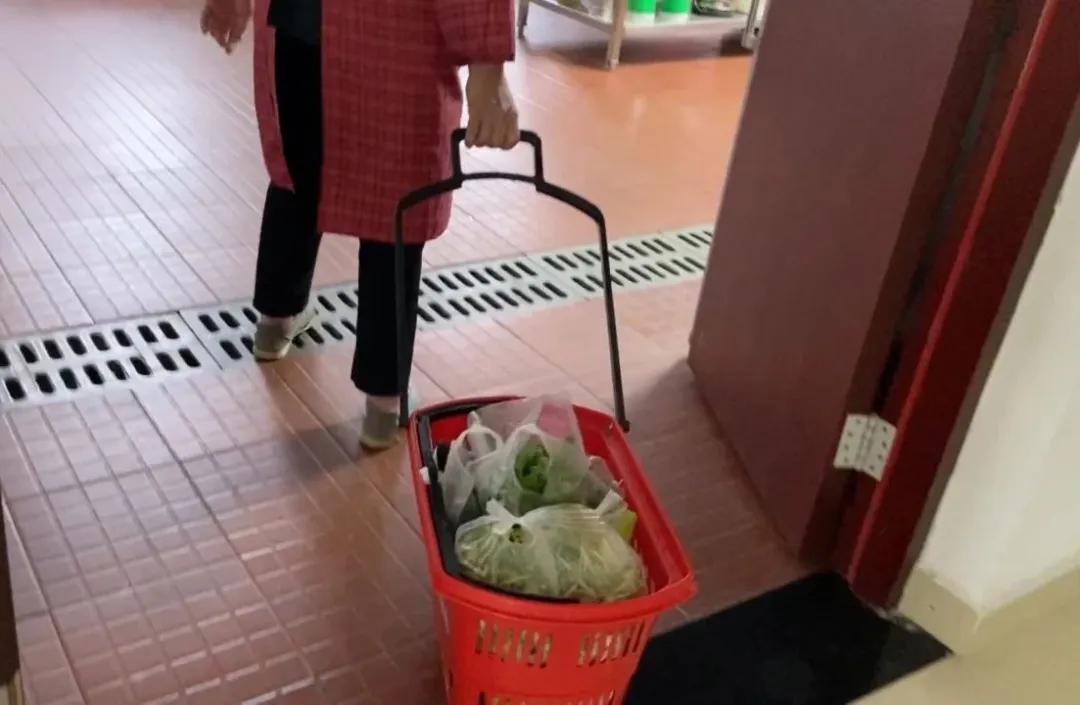 农家小厨娘探秘，最新章节一览