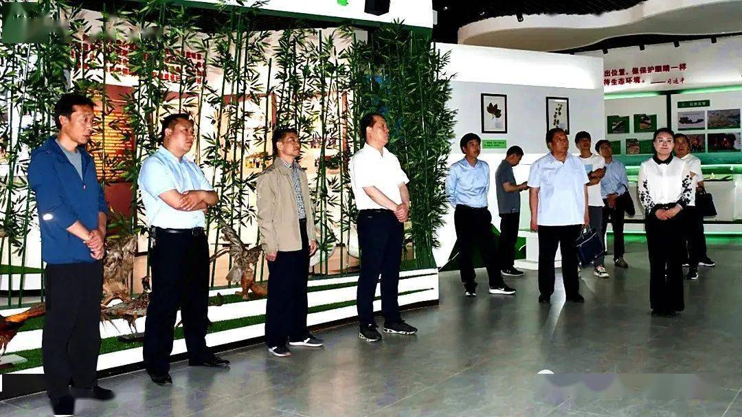 上海宝山区最新招聘，探索自然美景，寻找内心宁静之旅