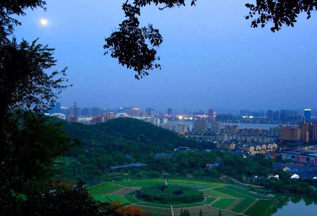 杭州今天台风最新消息,杭州今天台风最新消息，多方观点分析与个人立场的阐述