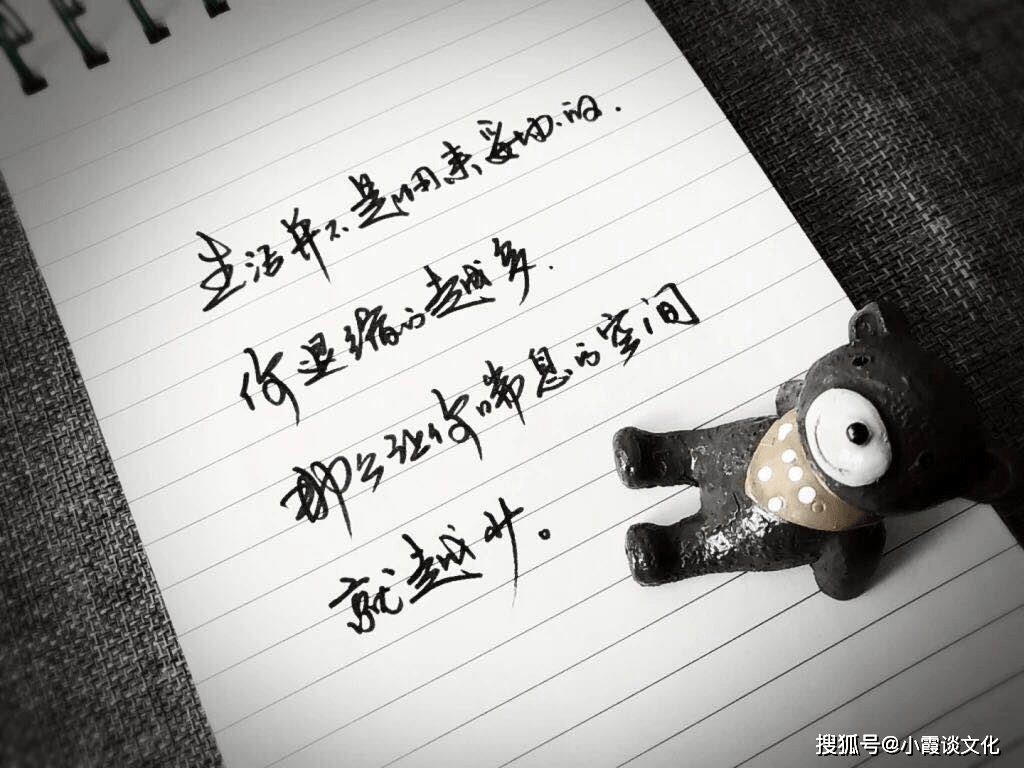 最新哲理句子与温馨日常故事分享